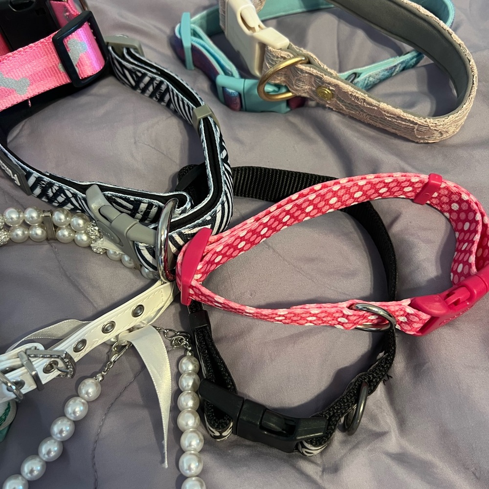 Assorted Dog Collars with Various Designs - Picture 2 of 5